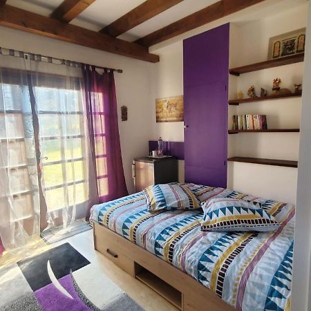 Chez Amalia et Fred Apartman Thonon-les-Bains Kültér fotó