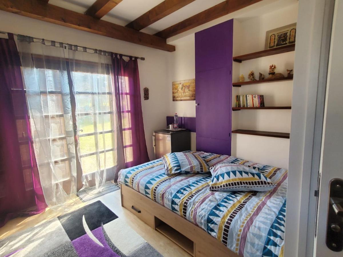 Chez Amalia et Fred Apartman Thonon-les-Bains Kültér fotó