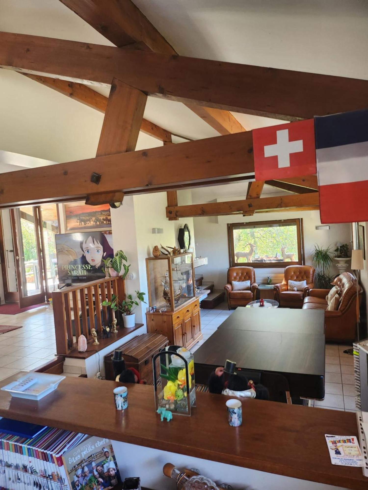 Chez Amalia et Fred Apartman Thonon-les-Bains Kültér fotó